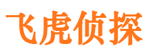 阳明市私家侦探